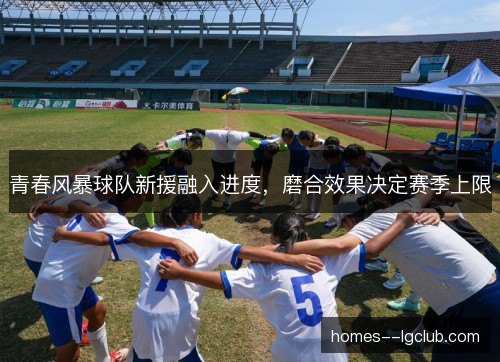 青春风暴球队新援融入进度，磨合效果决定赛季上限